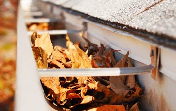 Wilkinthroop gutter cleaning companies