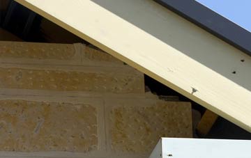 soffit repair Wilkinthroop